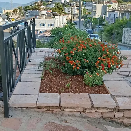 Vila Shabani *
